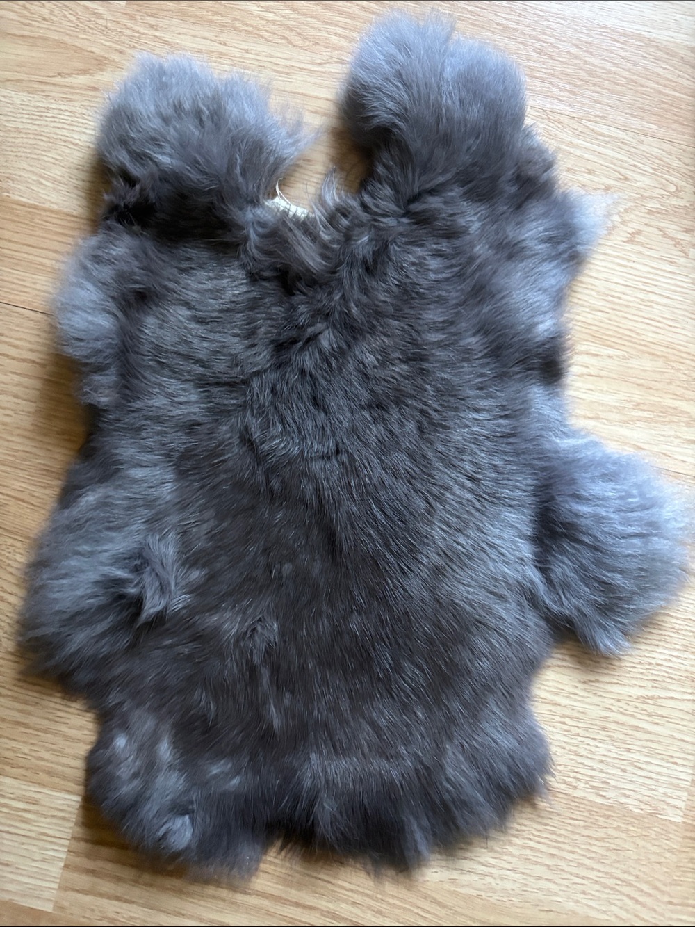 B0204 rabbit pelt